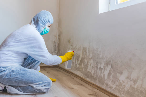 Mold Remediation specialist working in Long Branch
